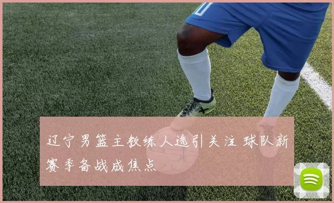 辽宁男篮主教练人选引关注 球队新赛季备战成焦点