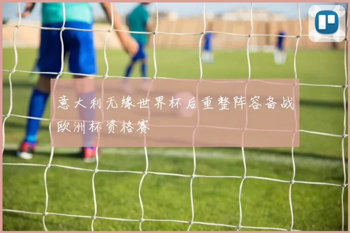 意大利无缘世界杯后重整阵容备战欧洲杯资格赛